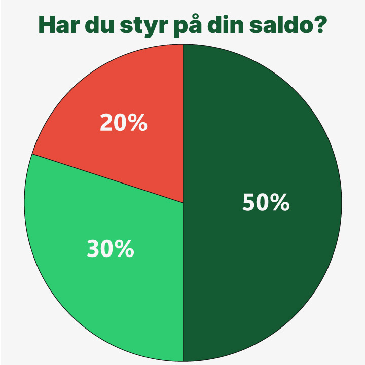 Cirkeldiagram om unge studerendes overblik over deres budget